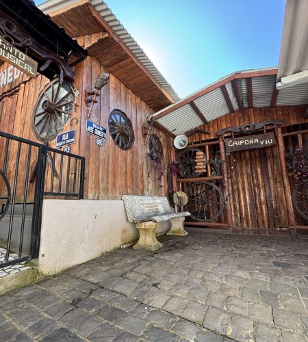 acervo-digital-historico-museu-galpao-caipora-viu-campos-novos (1)